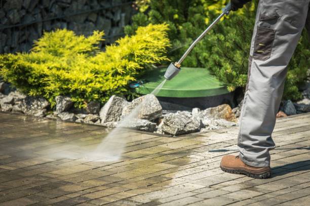 Animal Enclosure Cleaning in Merchantville, NJ